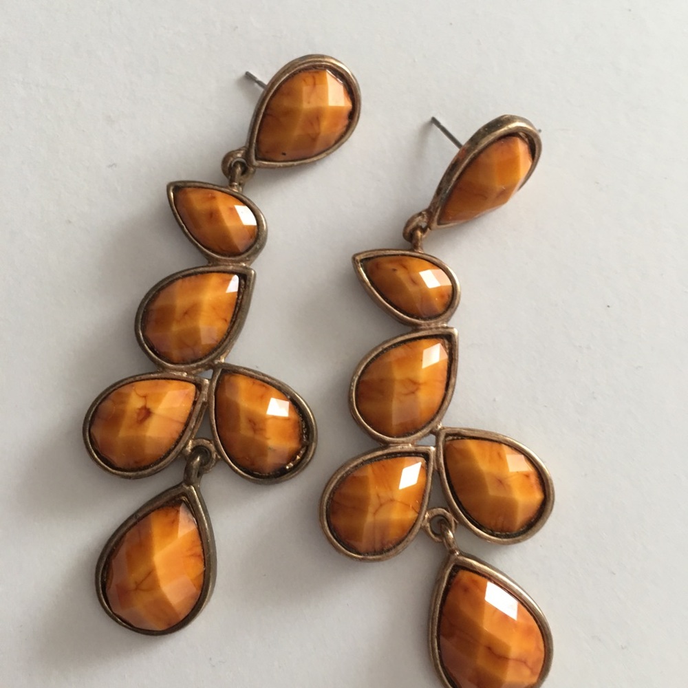 Amrita Singh Long Resin Drop Earrings